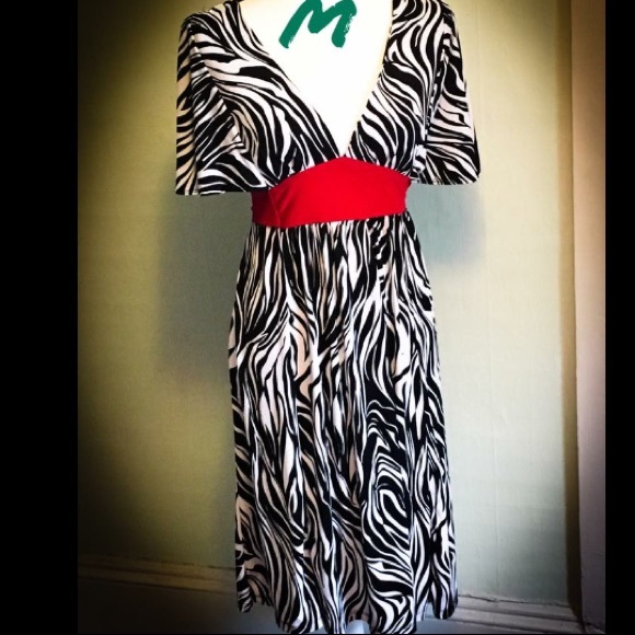 Snap Dresses & Skirts - Zebra dress with tie back